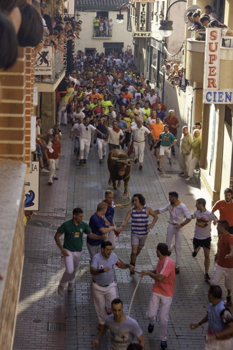 La carrera del Toro Enmaromado 2017 Razonador