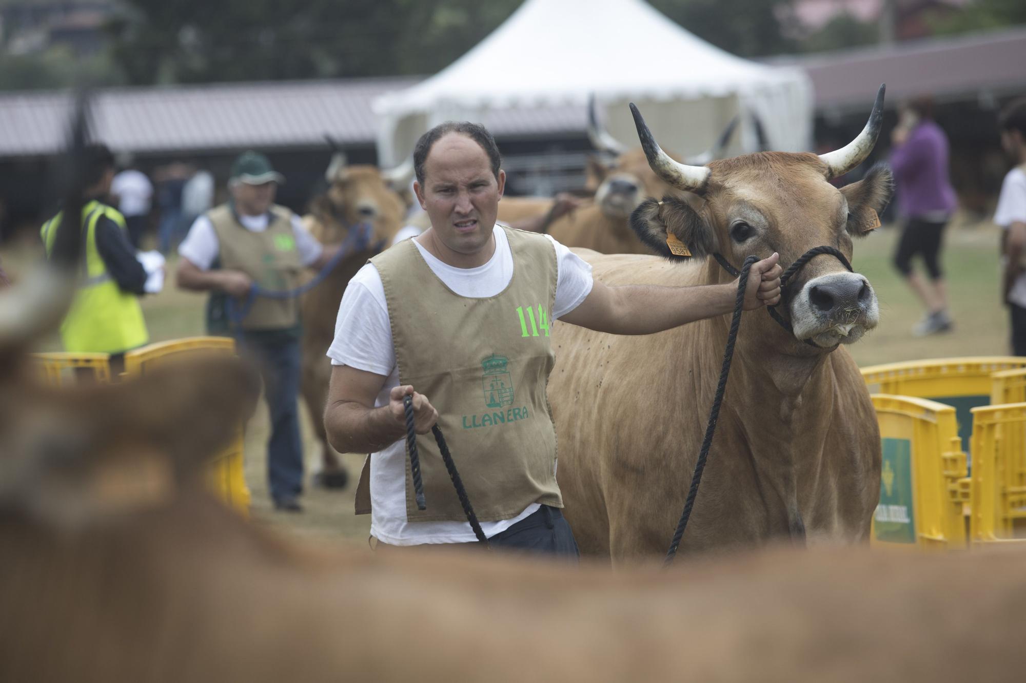 Feria Agroalimentaria de Productos Ecológicos de Llanera y Certamen Concurso Ganadero