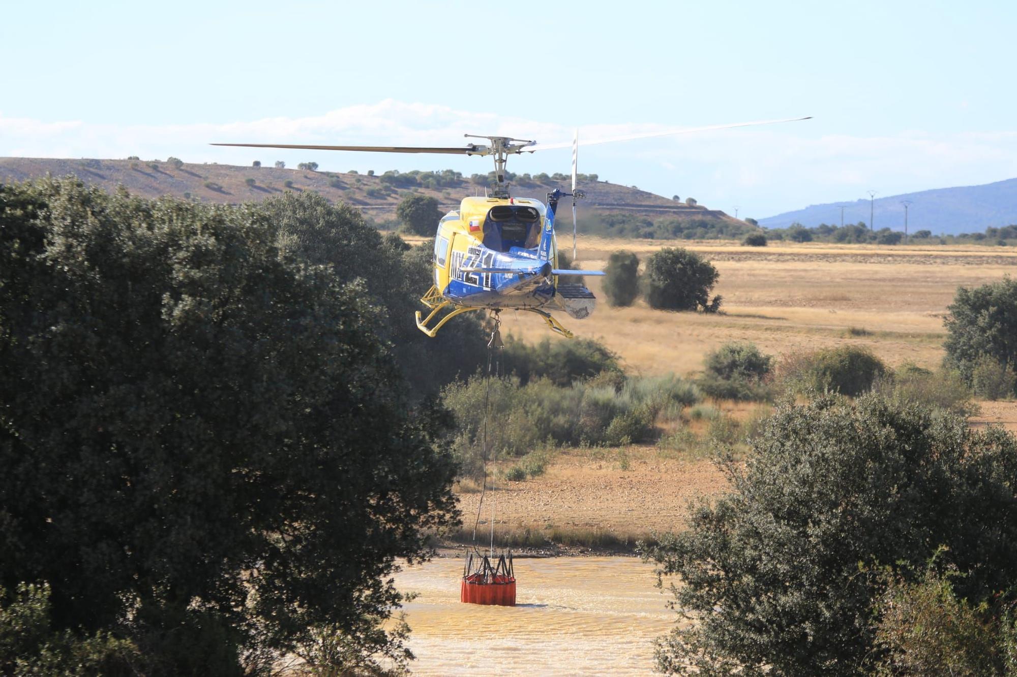 Un fuego afecta a San Vicente de la Cabeza, en Aliste