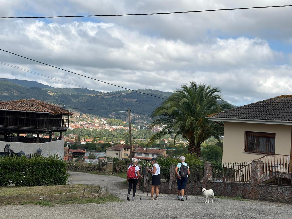 Las rutas por Grado del Grupo Montañero Moscón, en imágenes