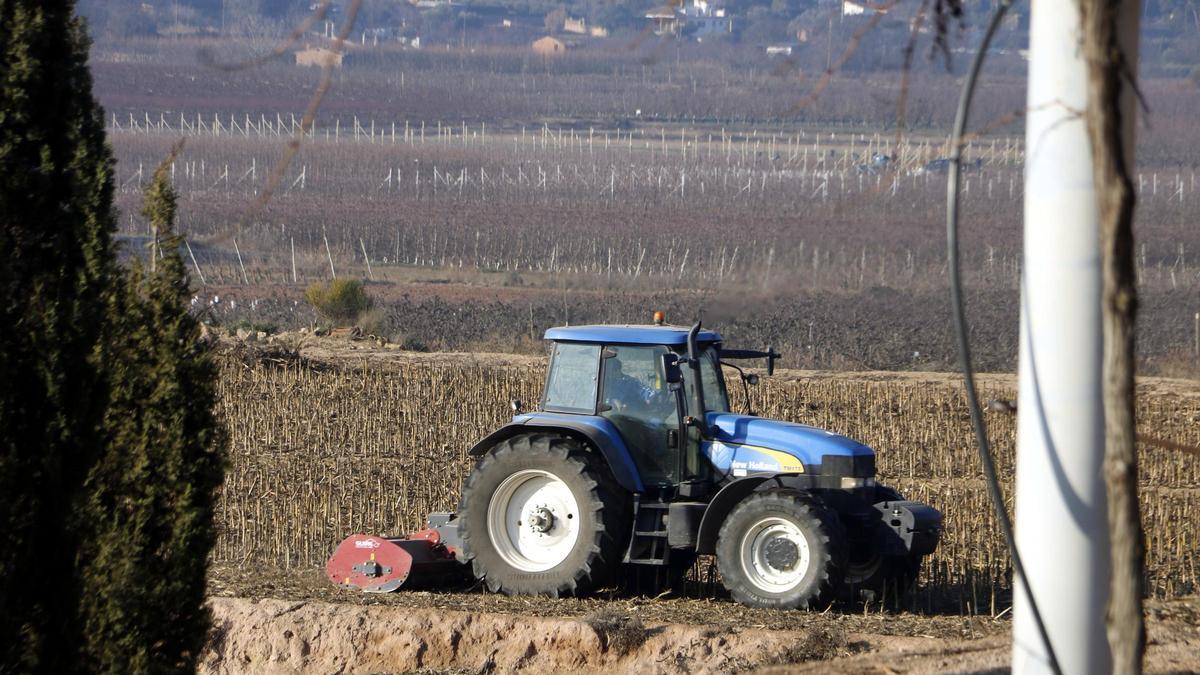 El preu dels aliments te un futur incert