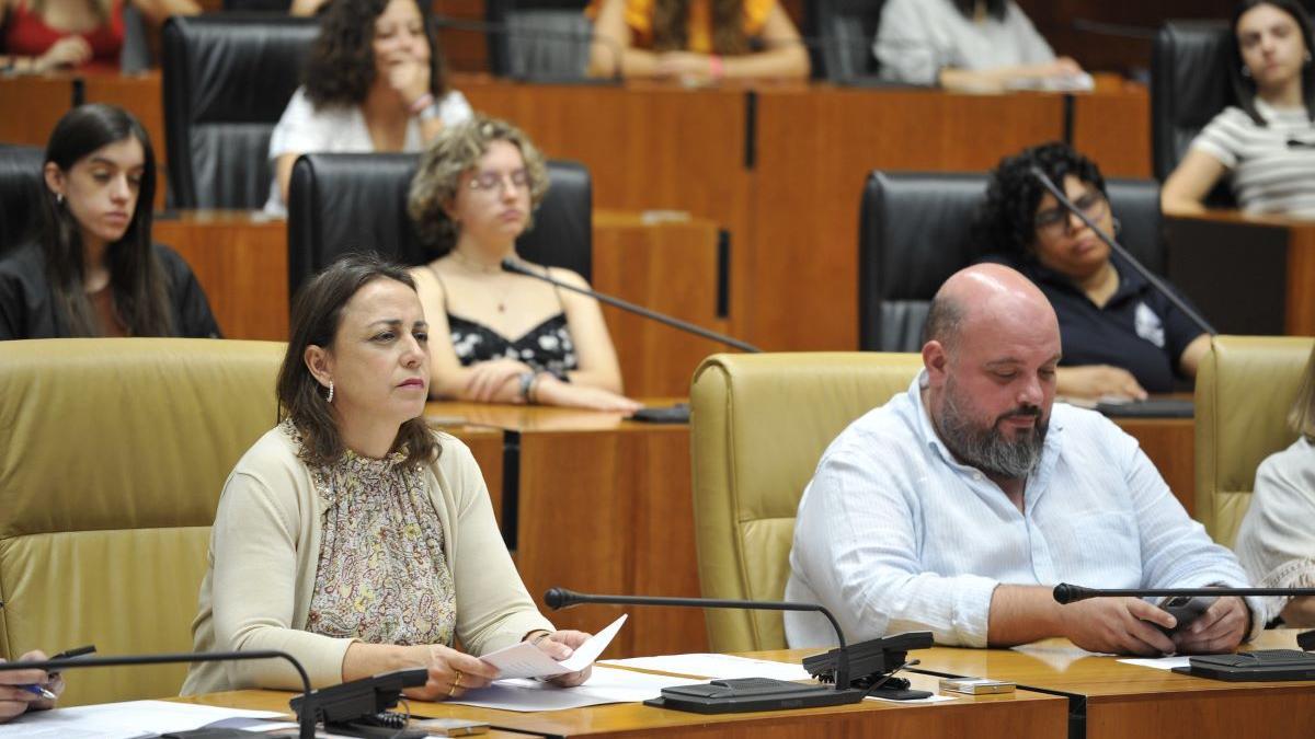 La secretaria general de Igualdad, Ara Sánchez, en el pleno contra la Lgtifobia, este miércoles en la Asamblea.