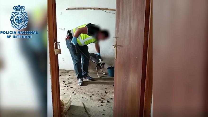 Un perro en malas condiciones, rescatado por la Policía Nacional.
