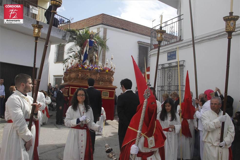 FOTOGALERÍA / El Domingo de Ramos en la provincia