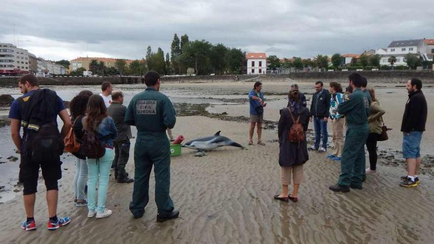 Asistentes a las jornadas que se celebraron ayer en el Ceida durante la clase práctica en Santa Cruz.