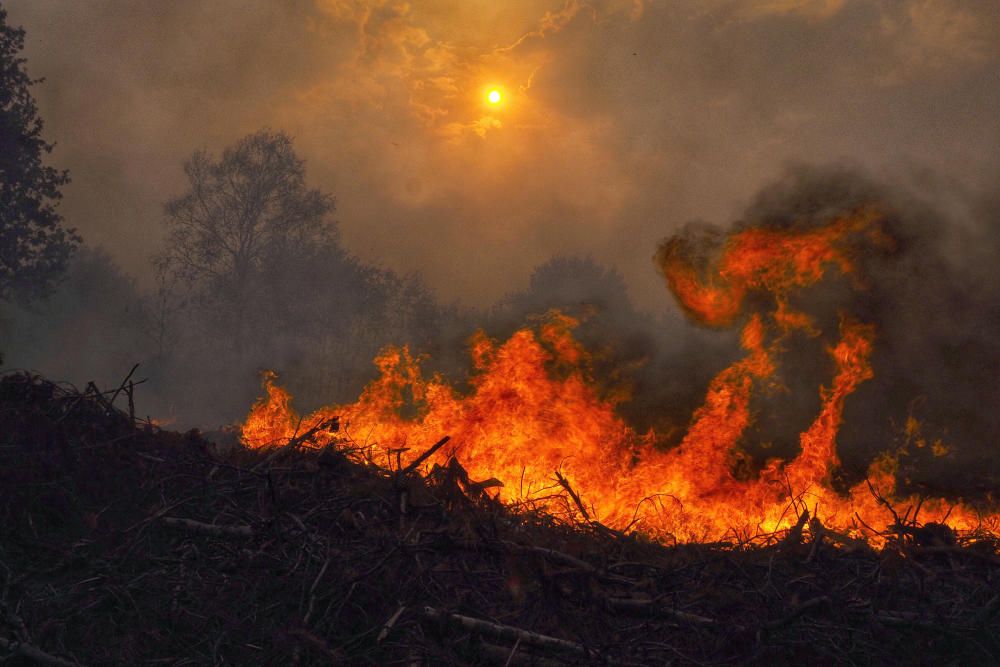 Arde Galicia | El fuego devora el Sur de Galicia