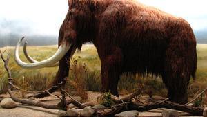 Reconstrucción de un mamut en el Zoo Dvur Králové, en la República Checa.