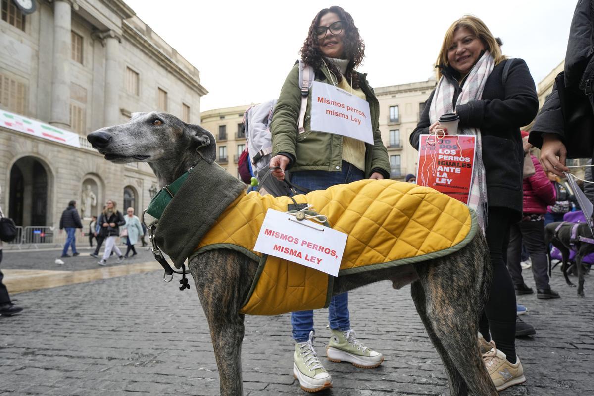 Concentración de protesta para pedir al PSOE y a Unidas Podemos que incluyan a los perros de caza, guarda y actividades específicas en el proyecto de ley de protección animal