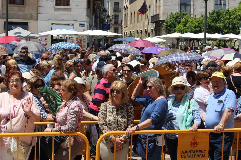 Besamanos a la Virgen de los Desamparados