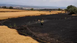 El relevo de los autónomos en el campo: una urgencia de país