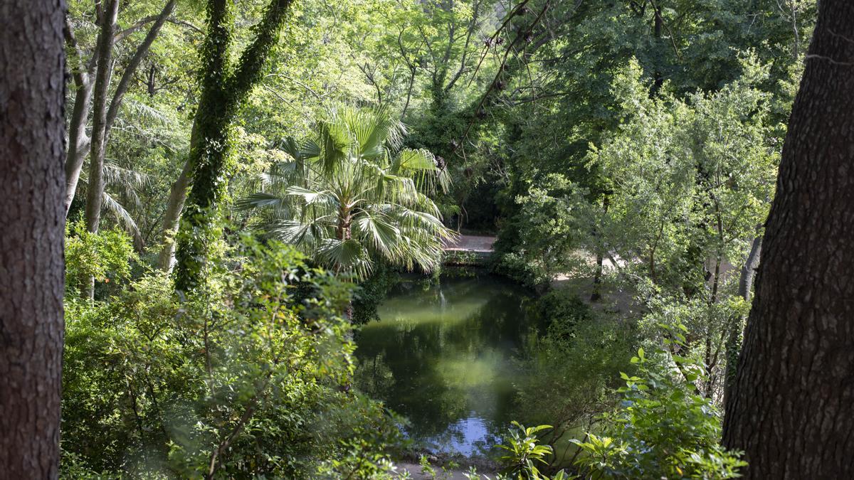 Paraje natural de la Murta, en Alzira.