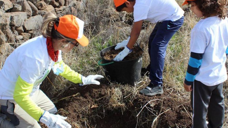 El Día del Árbol contará con un  programa completo de actividades