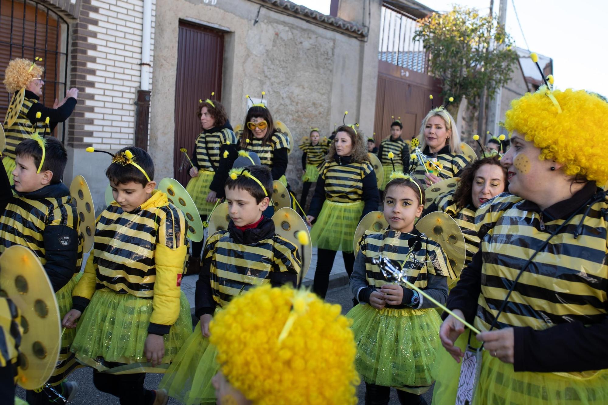 GALERÍA | Desfile del X Antruejo en Montamarta