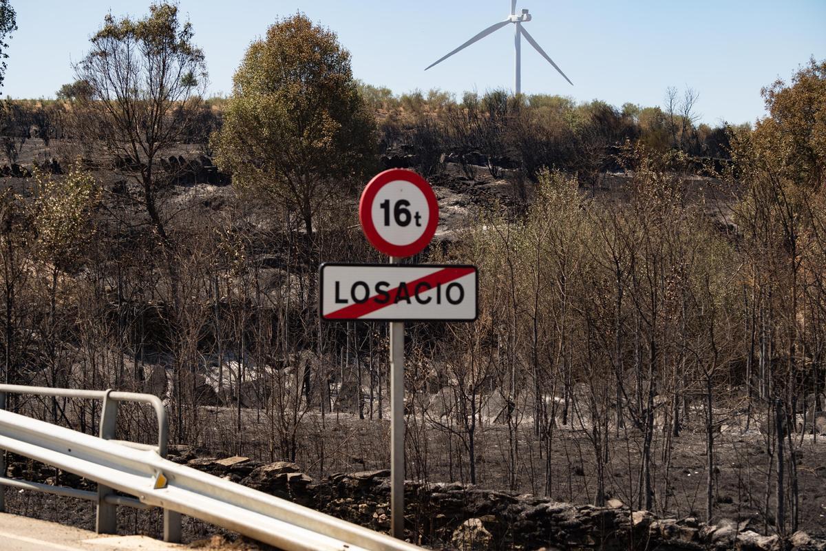 Losacio, tras el incendio.