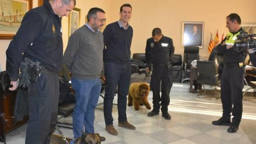 Los agentes con los perros policía en el despacho de Alcaldía.