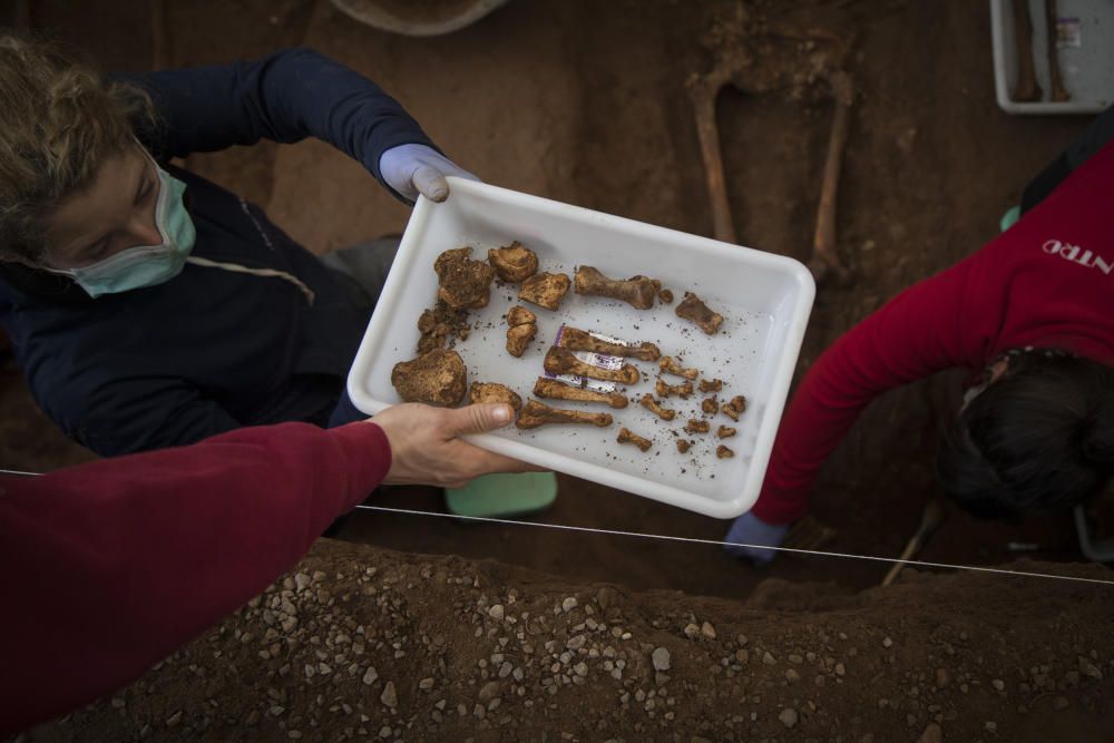 Exhumaciones en el cementerio de Castelló