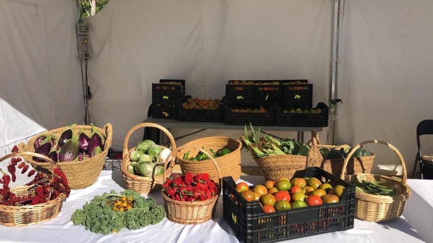 El tomate Muchamiel, una joya en Alicante Gastronómica