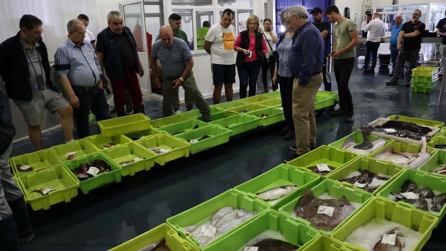 La flota retornada del Cantábrico ya pesca en las Rías Baixas