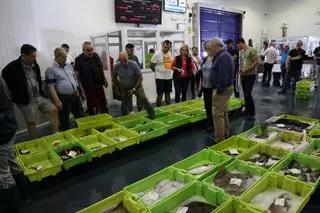 La flota retornada del Cantábrico ya pesca en las Rías Baixas