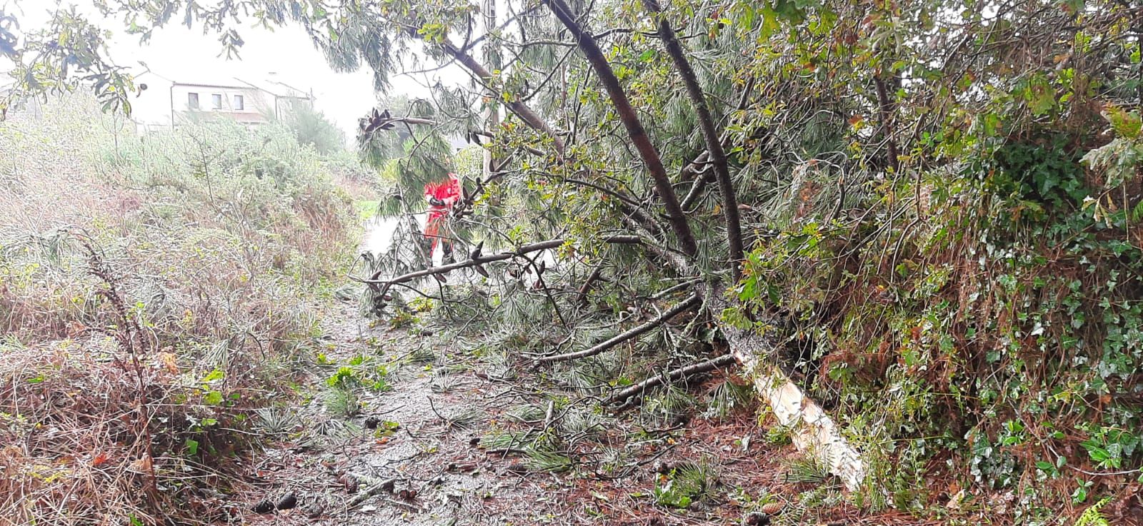 El paso del temporal Beatrice por O Morrazo