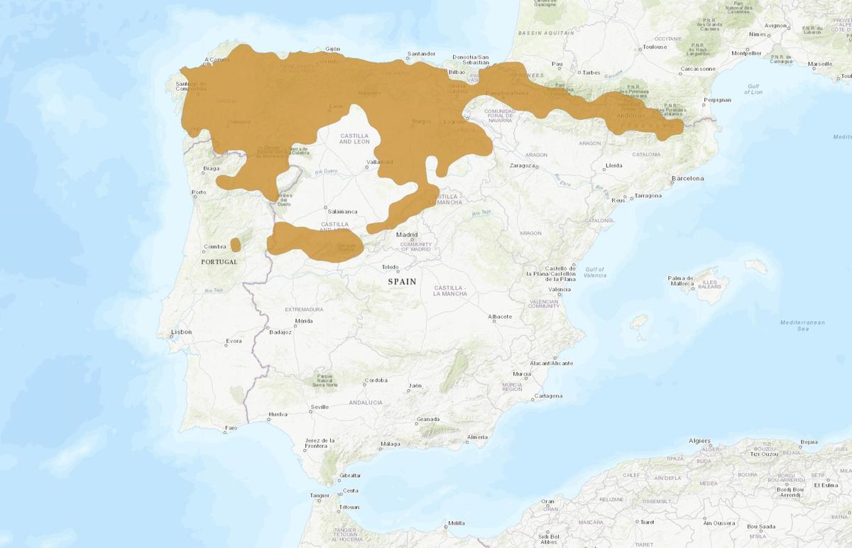 Área de distribución del desmán ibérico.