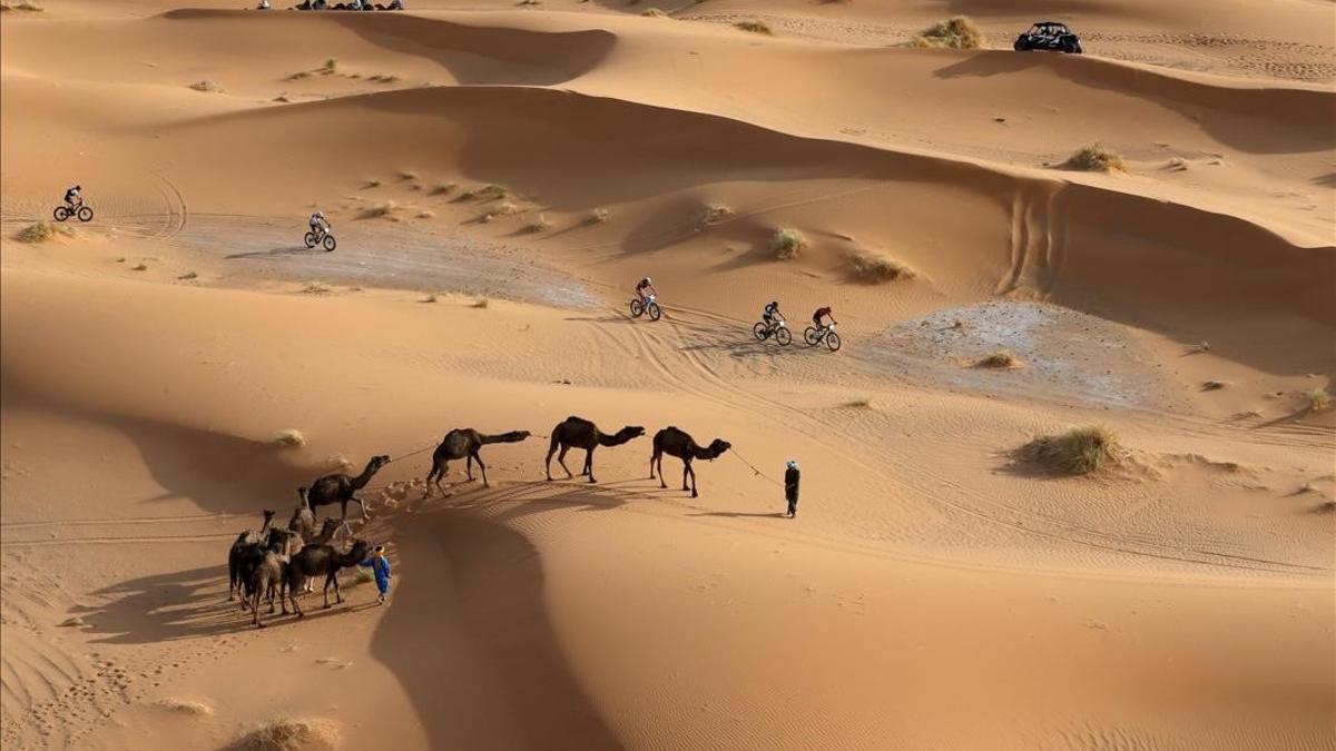 Participantes del año pasado, entre camellos.