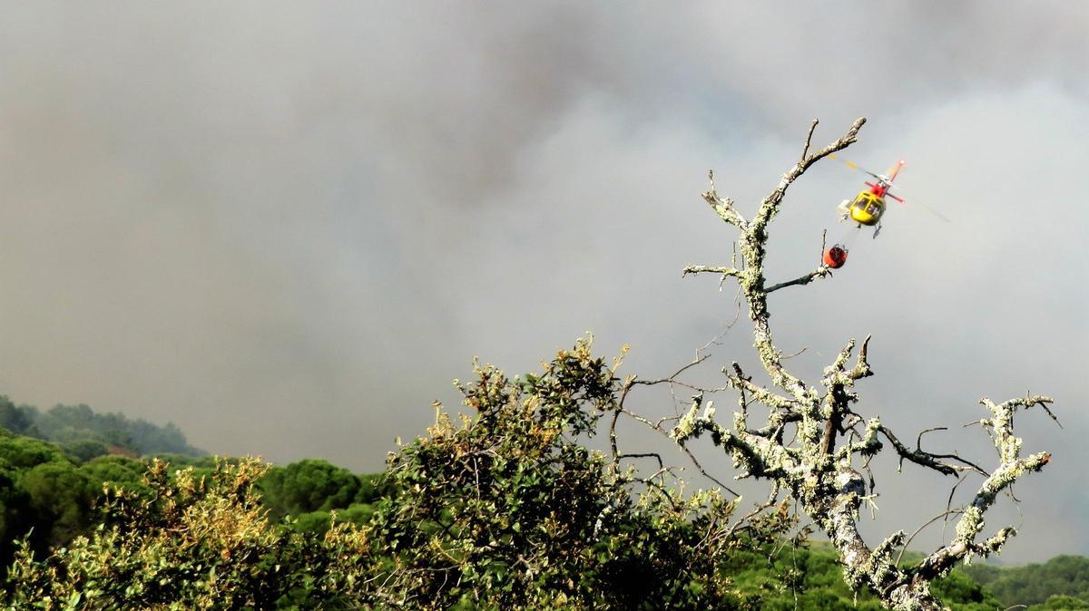 INCENDIO MACHADO 2026/INCENDIO EL MACHADO 2026 (34) INCENDIO MACHADO 2026/INCENDIO EL MACHADO 2026 (34)