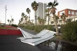 El viento causa cinco heridos en Barcelona, dos de ellos hospitalizados de gravedad