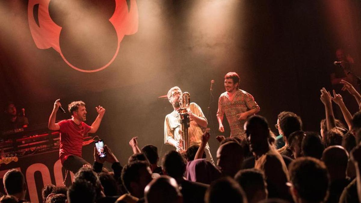 La banda Zoo.