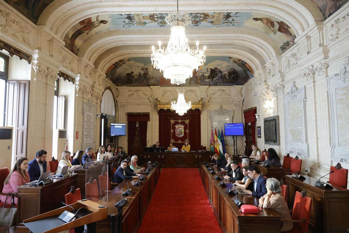 Pleno extraordinario del Ayuntamiento de Málaga