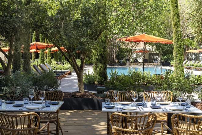 Restaurante Malaspina de Benidorm: Un oasis mediterráneo