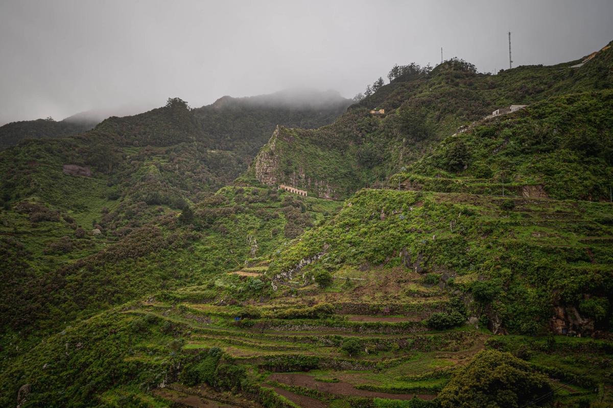 La Tenerife Vaciada: El Batán en La Laguna