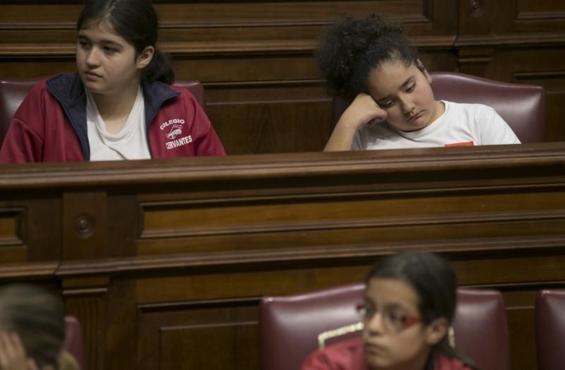 66 escolares ejercen de diputados por un día