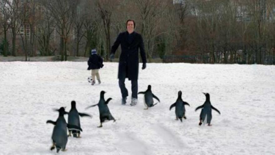 A Jim Carrey le cambia la vida cuando 6 pingüinos invaden su casa