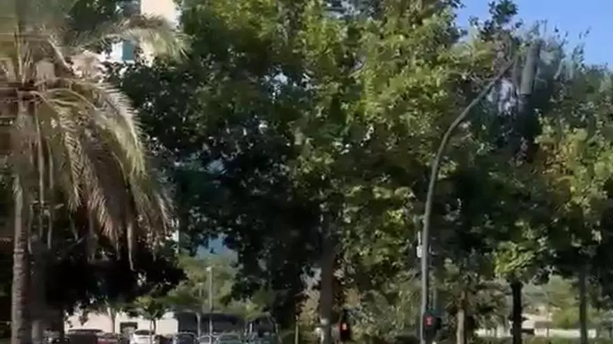 Protesta de médicos este lunes en Valencia