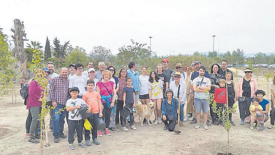 Plantan 100 árboles en el jardín del Malecón de Murcia en honor a Ricardo Codorníu