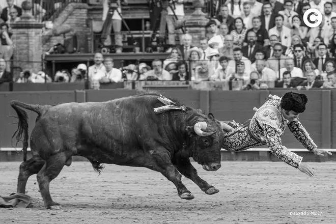 Toros en la Maestranza: las mejores imágenes de Morante de la Puebla, Borja Jiménez y Tomás Rufo