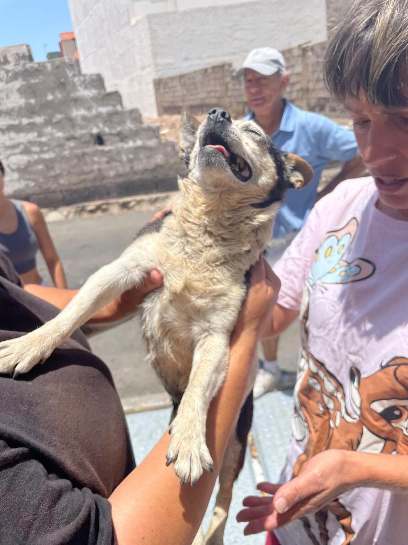 Rescatan al perro 'Patuco' del fondo de un contenedor de basura soterrado en Vecindario