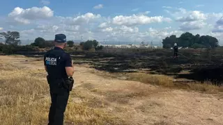 Una chispa de  un tractor al golpear una varilla de hierro desata un incendio agrícola en el polígono Son Oms de Palma