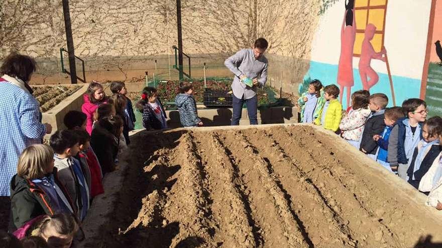 Niños de Infantil prestan atención a las explicaciones del profesor sobre cómo plantar las semillas de guisantes.