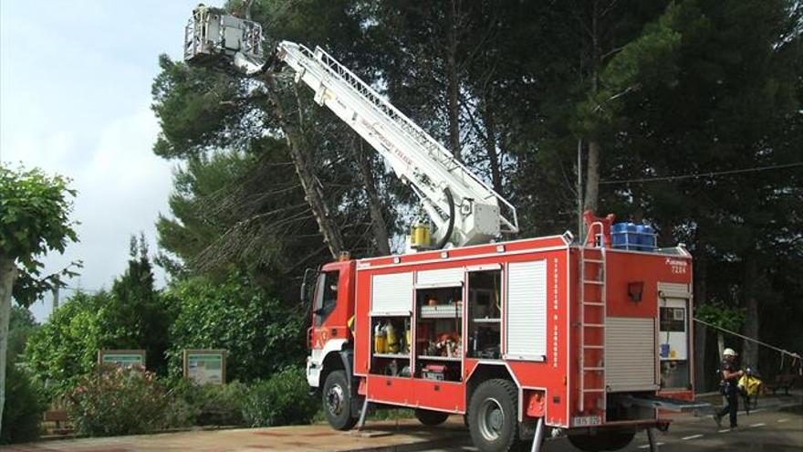 Los bomberos sanean el arbolado