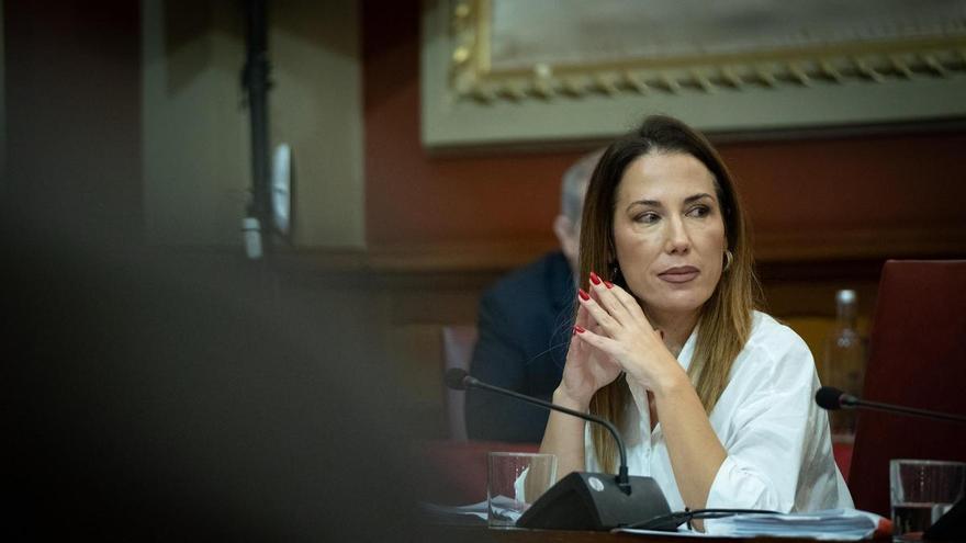 Momento del pleno de Santa Cruz de Tenerife en el que Patricia Hernández insulta a José Alberto Díaz-Estébanez