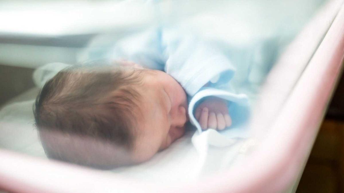 Els naixements han anat majoritàriament en descens