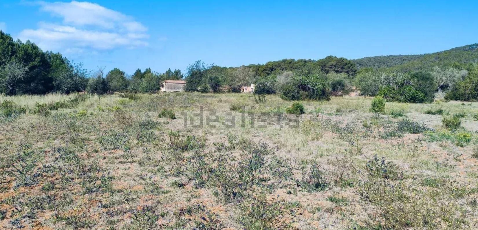 Una finca rústica para restaurar como un agroturismo por nueve millones de euros en Ibiza