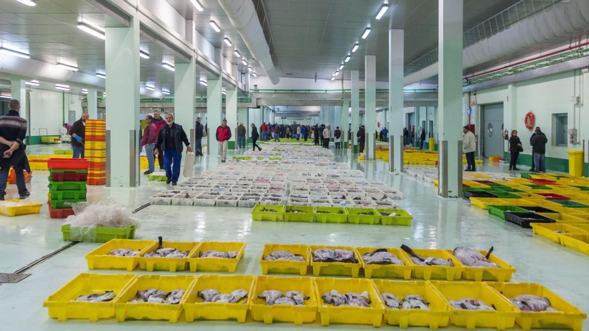 Interior de la lonja de A Coruña, con cajas de pescado preparadas para su venta.   | // LA OPINIÓN