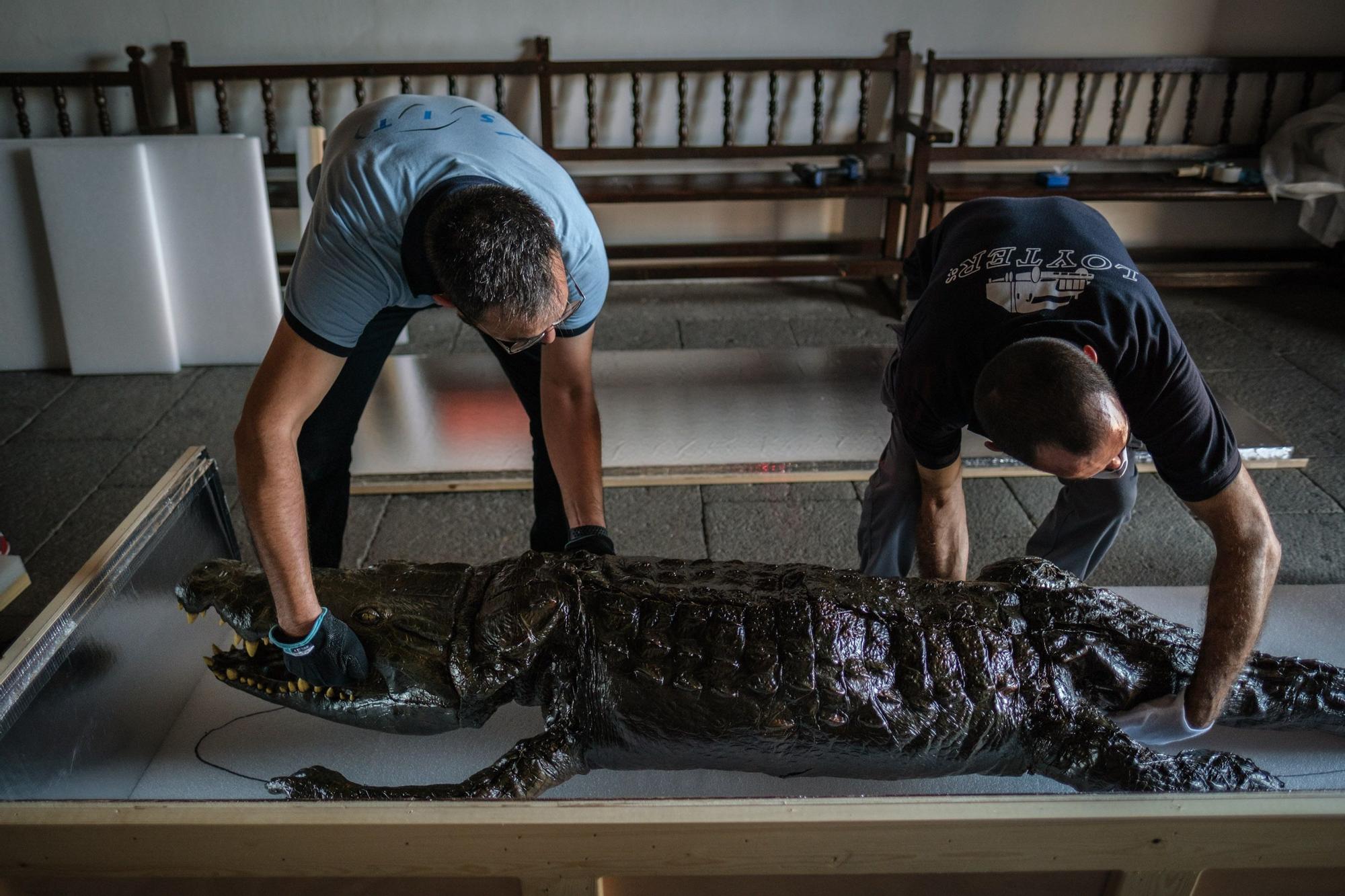 Traslado de la Virgen y el caimán de Las Angustias