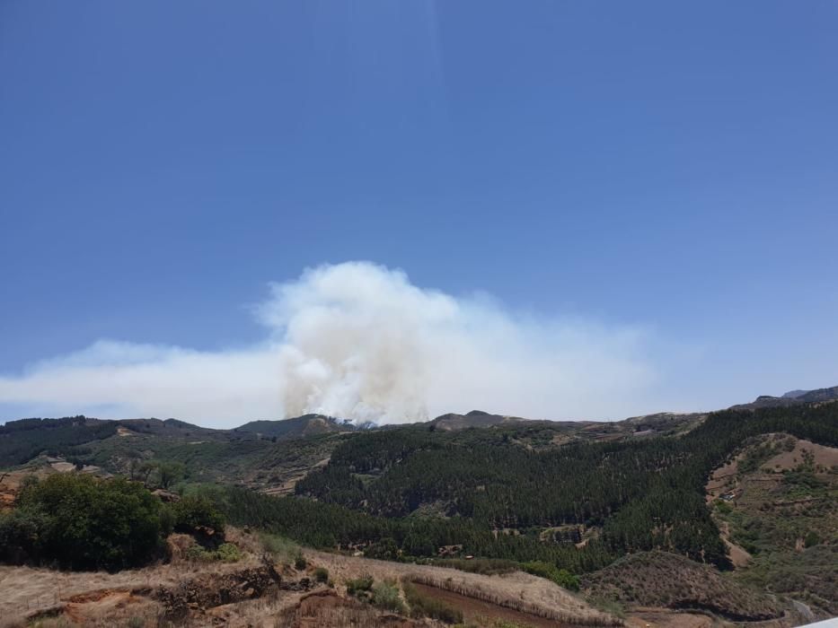 Incendio en la cumbre de Gran Canaria