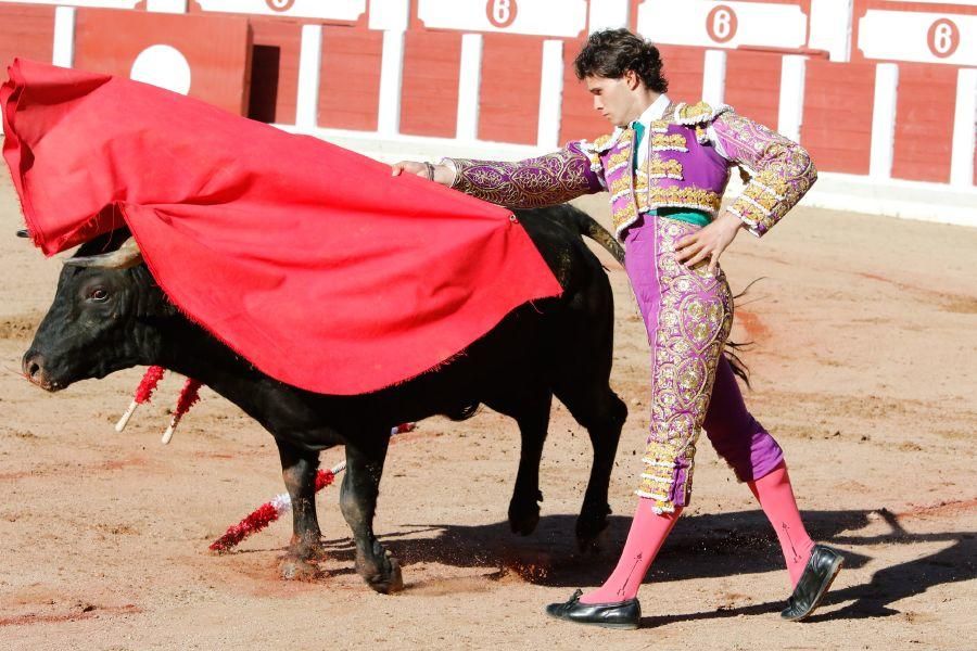 Tarde de toros en Zamora