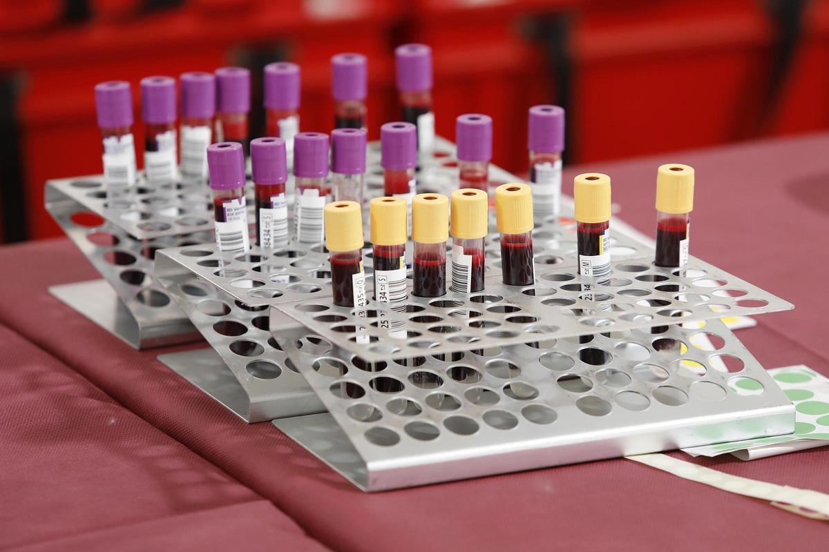 Les fotos de la donació de sang en el marc de Temps de Flors