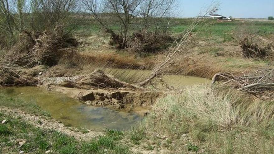 La CHE realizará actuaciones en el río Arba tras las riadas